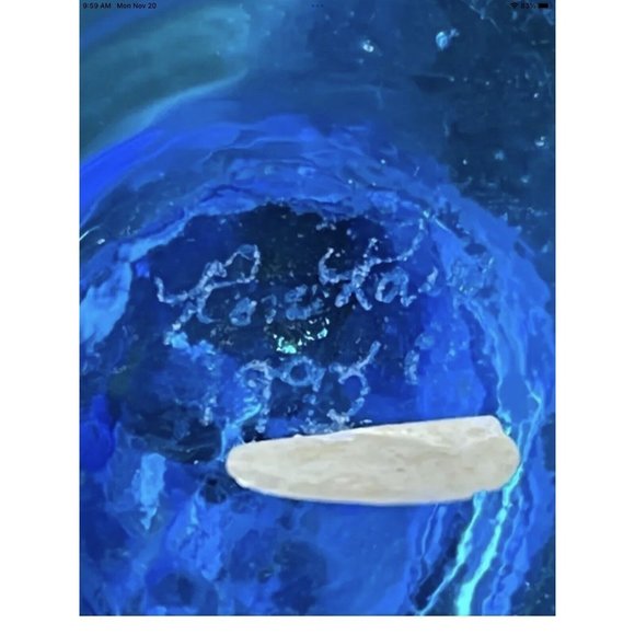 VTG Handmade Grandma Bluebirds Ron Roy Signed Dolphin Figurine Art Glass USA HTF - Picture 13 of 15